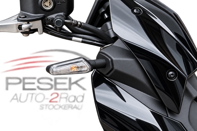 Kawasaki - Z 900