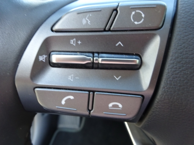 Hyundai - IONIQ Edition 30 plus 1,6 GDi HEV i1hx1