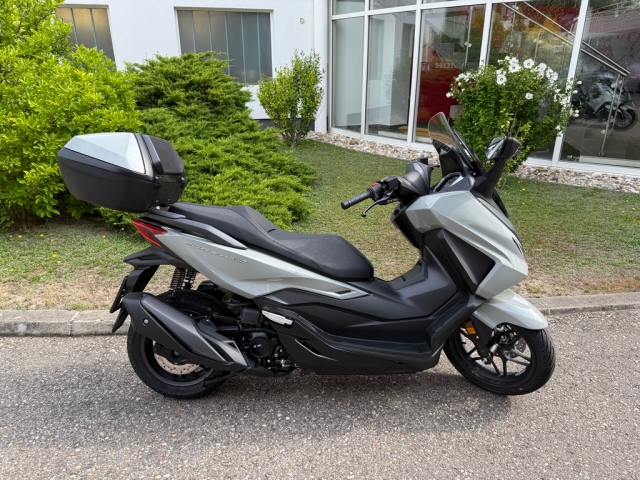 Honda - FORZA 350 mit SMART Top-Box
