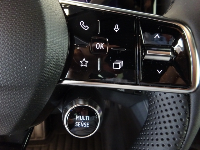 Renault - AUSTRAL TECHNO MILD HYBRID 160