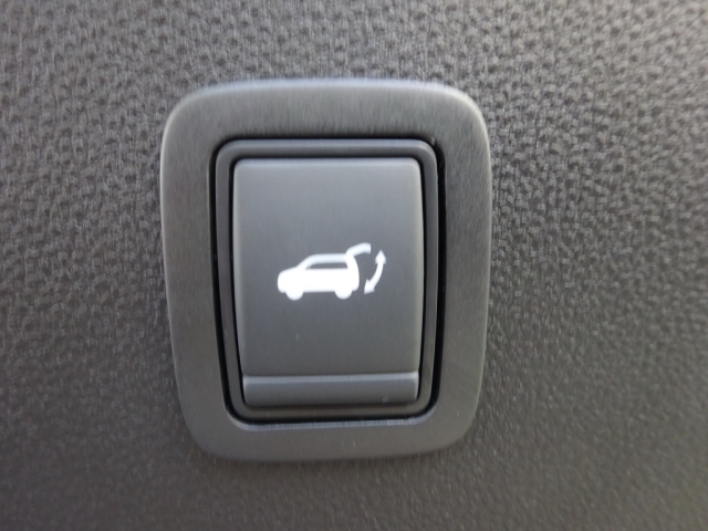 Renault - RENAULT 4 E-TECH ELECTRIC Iconic 150 PS comfort range