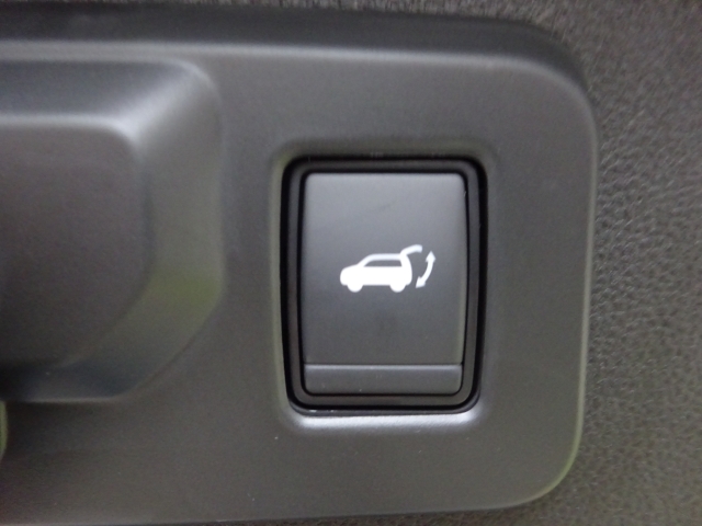 Renault - AUSTRAL Techno Mild Hybrid 160 Automatik (MY25)