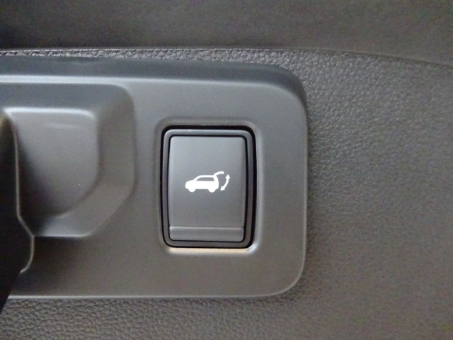 Renault - AUSTRAL TECHNO MILD HYBRID 160