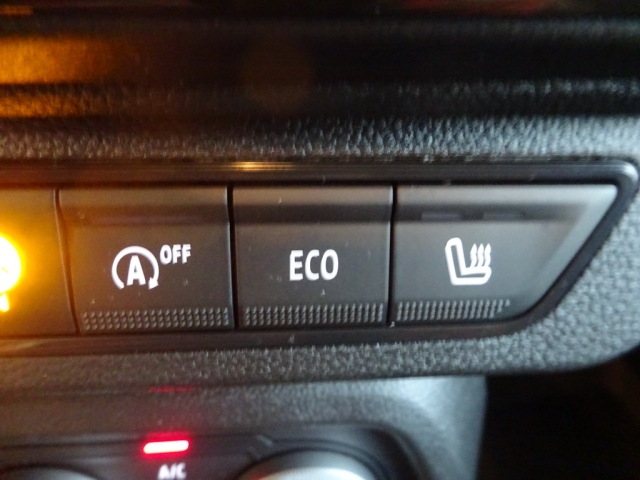 Dacia - SANDERO STEPWAY EXTREME TCe 110