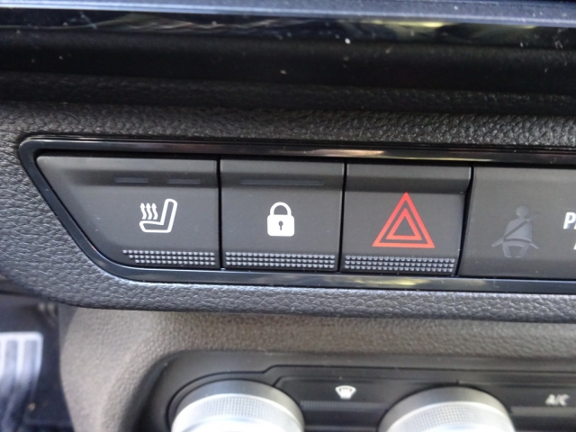 Dacia - SANDERO STEPWAY EXTREME TCe 110