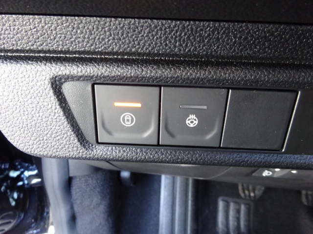 Dacia - SANDERO STEPWAY EXTREME TCe 110