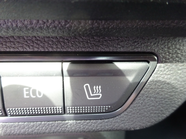 Dacia - SANDERO STEPWAY EXPRESSION TCe 110