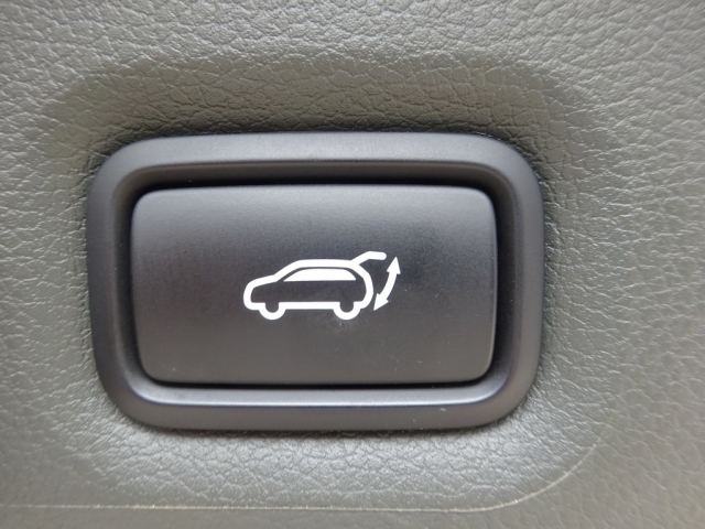 Hyundai - Santa Fe PHEV Luxury Line 1,6 T-GDi PHEV 4WD AT s1