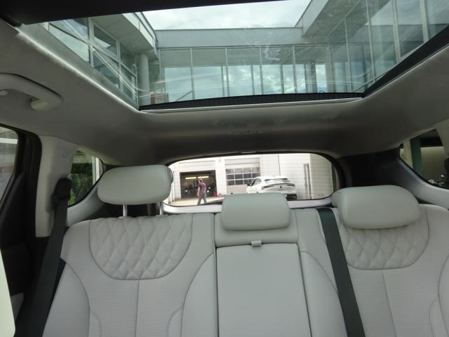 Hyundai - Santa Fe PHEV Luxury Line 1,6 T-GDi PHEV 4WD AT s1